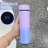 HydraVue Smart Thermos Bottle