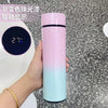 HydraVue Smart Thermos Bottle