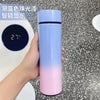 HydraVue Smart Thermos Bottle